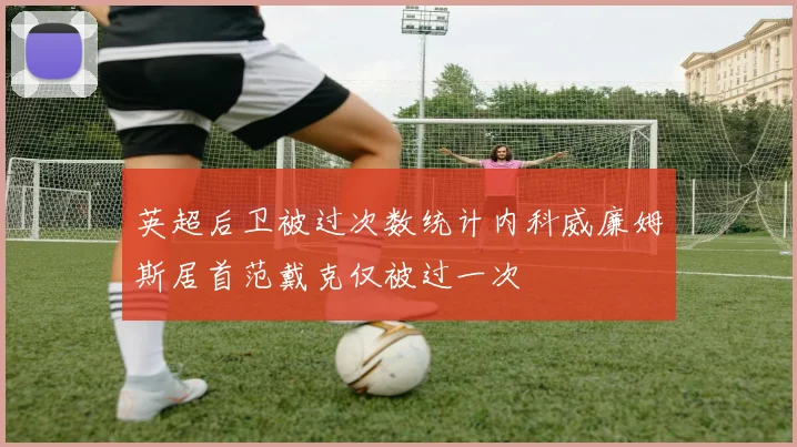 英超后卫被过次数统计内科威廉姆斯居首范戴克仅被过一次